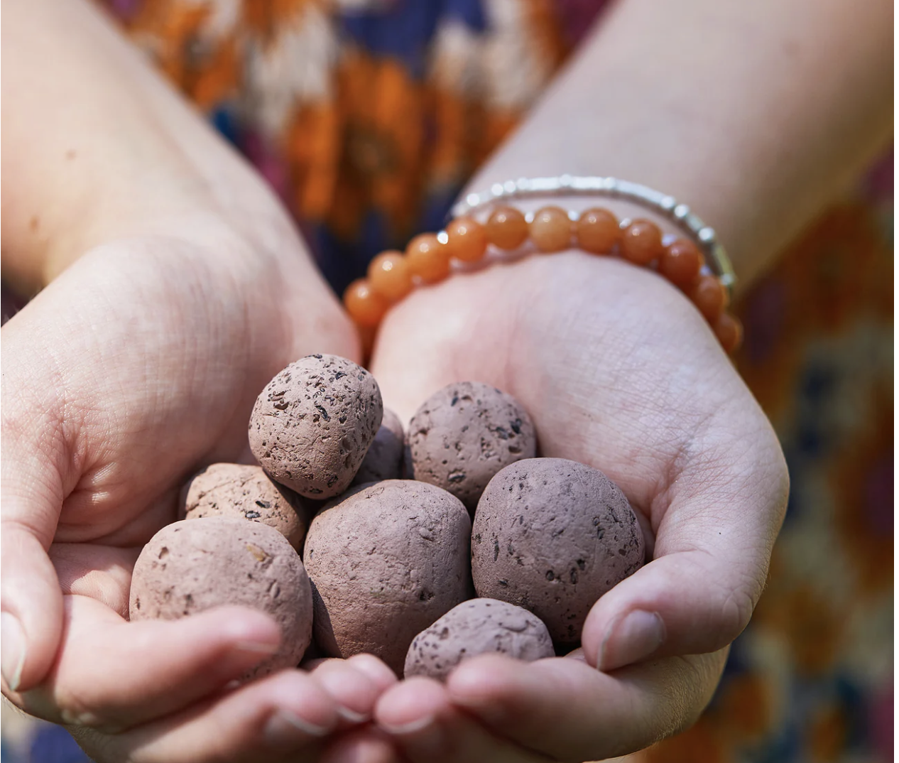 Seed Bomb Making Workshop